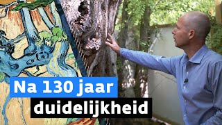 Nederlander ontrafelt groot Van Goghmysterie [upl. by Eenor411]