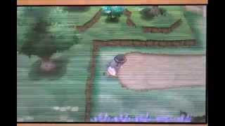 Where to Catch Skiddo Pokemon X Pokemon Y Skiddo [upl. by Dez]