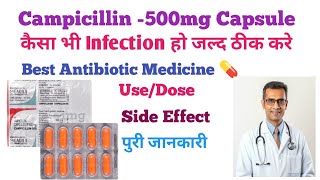 Campicillin 500mg Ampicillin capsule use in Hindi कैसा भी infection हो जल्द ठीक करे doctor use [upl. by Natalya]