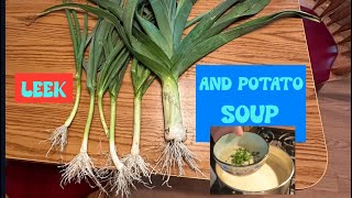 Leek an Potato Soup [upl. by Latoye]