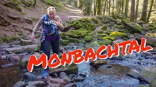 Monbachtal Wanderung mit Kindern Familienausflug im Nordschwarzwald [upl. by Rolfston]