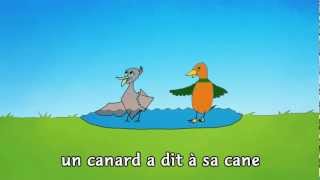 « Un canard a dit à sa cane »  Mister Toony [upl. by Gallagher]