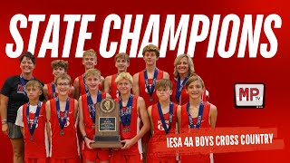 IESA 4A Boys Cross Country Season Recap  State Champions [upl. by Macguiness]