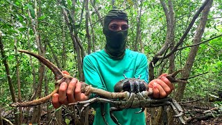 PESCANDO JUEYES 🦀 PREHISTÓRICOS 🦖 EN PUERTO RICO 🇵🇷 [upl. by Cullen68]