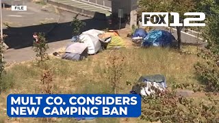 Multnomah Co officials consider new camping ban [upl. by Marteena847]