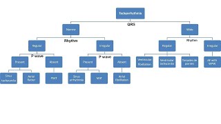 arrhythmia part 1 ECG approach and treatment [upl. by Ydniw]