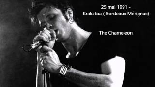 1991  Noir Désir The Chameleon  Live Krakatoa Merignac [upl. by Fafa434]