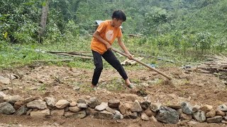 Harvesting Chayote Fruit Goes to the market sell  How to Make a Floor for a House [upl. by Silvers]