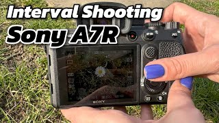 Interval Shooting Tutorial for Sony A7R Mastering TimeLapse Photography [upl. by Kokoruda767]