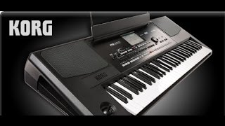 Demo Korg pa300 Denis [upl. by Elinnet612]