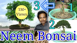 Neem bonsai [upl. by Akeenat]