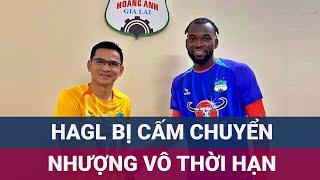 Nóng CLB Hoàng Anh Gia Lai bị FIFA cấm chuyển nhượng vô thời hạn  VTC Now [upl. by Brasca771]