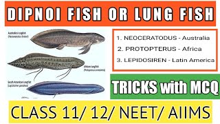 🔥Dipnoi fishLung fish in Hindi  Easy trick to learn lung fish  NEET  AIIMS [upl. by Platas]