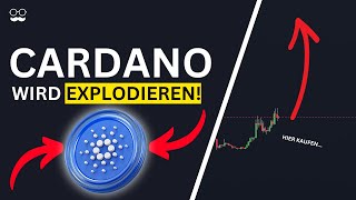 Diesen CARDANO BULLRUN NICHT VERPASSEN  Kaufzonen  Preisziele  Prognose 2024 [upl. by Harwill]