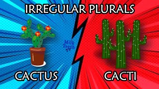 List of Irregular Plurals in English Grammar [upl. by Nnair134]