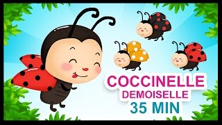 Coccinelle demoiselle  Comptines pour les petits  Titounis [upl. by Nawk]