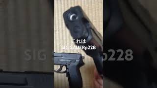 SIG SAUER P228 SIG SP 2340の違い [upl. by Gal753]