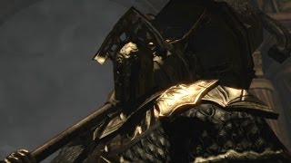 【DARK SOULS II】不死廟「王盾ヴェルスタッド」ボスノーダメージ攻略  Velstadt The Royal Aegis【BOSS実況解説Part24】 [upl. by Lach149]