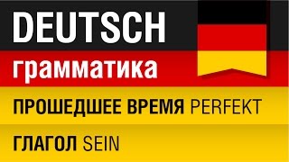 Прошедшее время Perfekt Глагол Sein Немецкий язык для начинающих Урок 1031 Елена Шипилова [upl. by Eirtemed]