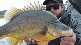 5 must have lures for Yellowbelly fishing [upl. by Natan]