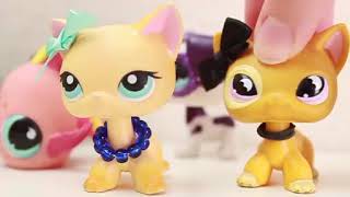 LPS All Over Episode 1 Pilot By MistyMagic [upl. by Bein]