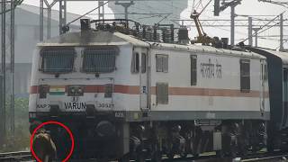 RARE  Cow stops train Driver shouts to shoo it away  INDIAN RAILWAYS [upl. by Elizabeth]