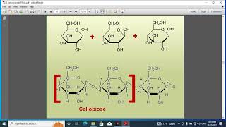 Pharmacognosy 1 lec 9 [upl. by Elbag]