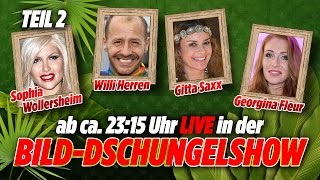 Sophia Wollersheim Willi Herren Georgina Fleur Gitta Saxx  BILDDschungelShow TAG 6  Teil2 [upl. by Ddarb]