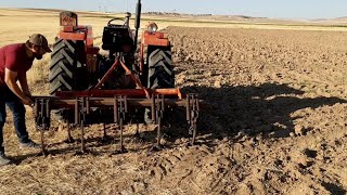 KÖYDE TRAKTÖR KULLANDIM👍👍 TARLAYA KAZAYAĞI ÇEKTİM 🚜 GÜZEL BİR VİDEO OLDU [upl. by Golliner]