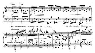 Liszt Das Wandern Müllerlieder von Franz Schubert S565 No 1  after Schubert D795 score [upl. by Cookie]