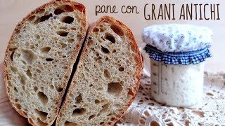 PANE con farina di GRANI ANTICHI [upl. by Natsirk404]