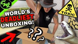 UNBOXING WORLD’S DEADLIEST SNAKE [upl. by Wilkie]