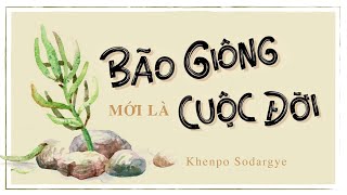 Sách nói Bão Giông Mới Là Cuộc Đời  Chương 1  Khenpo Sodargye [upl. by Namlak]