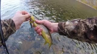 Wild fishing Lake District [upl. by Eecyak]