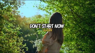 Dont Start Now  Dua Lipa  Remix amp Lyrics [upl. by Nawj]