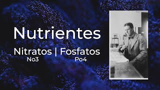 Nitratos y Fosfatos en Acuarios [upl. by Javed]