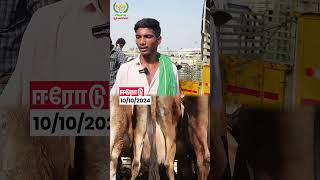 50000K Profit vivasayaarvalargal dairyfarming shortvideo shorts [upl. by Isolde]