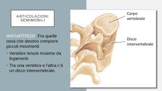 Le ARTICOLAZIONI Immobili Semimobili Mobili [upl. by Odnamla971]