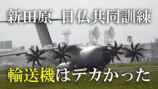 【新田原基地】日仏共同訓練「A400M輸送機」FRBAN（2023 0726） [upl. by Einhpad200]