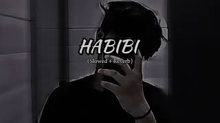 Habibi Slowed  Reverb [upl. by Eelam379]