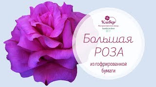 Большая роза из гофрированной бумаги [upl. by Sumner8]