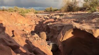 FLASH FLOOD in Arizona [upl. by Yht]