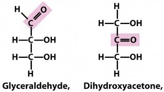 Trioses  Glyceraldehyde and Dihydroxy acetone  Monosaccharides [upl. by Francois]