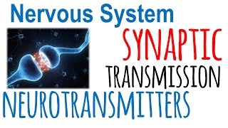 Synaptic transmission and neurotransmitters [upl. by Tearle]