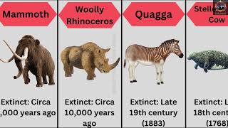 Here Are The 20 Notable Extinct Animals Along With The Approximate Times Animals Comparison [upl. by Dwane]