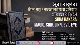 সূরা বাক্বারা  জিনযাদু ও বদনজরের জন্য রুকিয়াহ  Sura Bakara  Magic Sihr JiNN Evil Eye [upl. by Nimesay]