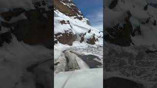 Winter Snowleopard Expidition in kibber spiti valley [upl. by Ocirled]