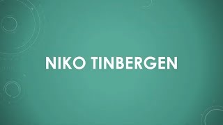 Niko Tinbergen EN [upl. by Ayikan175]