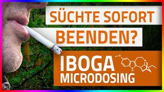 IBOGA Infovideo Microdosing Legalität Wirkung [upl. by Pironi]