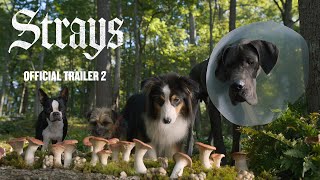 STRAYS – Official Trailer Universal Pictures  HD [upl. by Notsnarc]